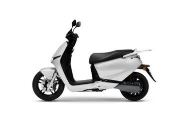 Taffeta White