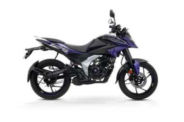 Ebony Black - Purple Fury