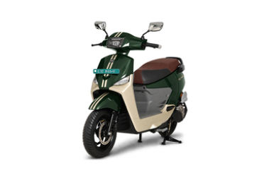 Terra Green Champagne Gold