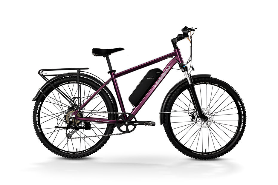 EMotorad T-Rex Pro Deep Purple colour