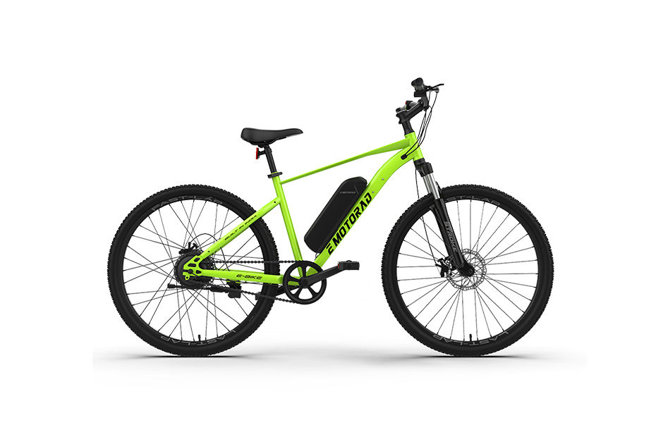 EMotorad Neo Metallic Green colour