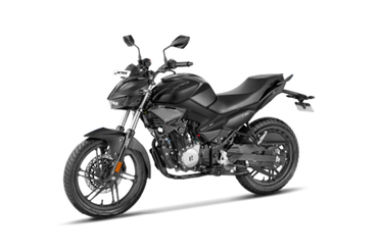 Stallion Black
