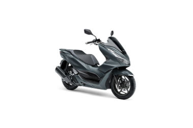 Matt Dim Gray Metallic