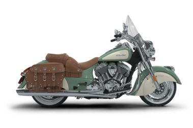 Willow Green Over Ivory Cream