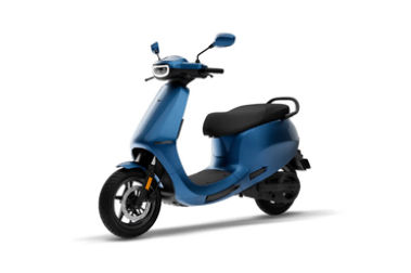 Steller Blue